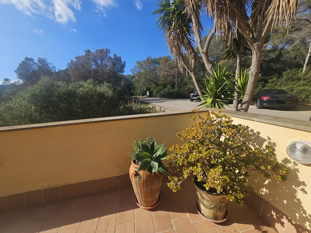Mallorca Wohnung Kauf Mallorca Wohnung Kauf