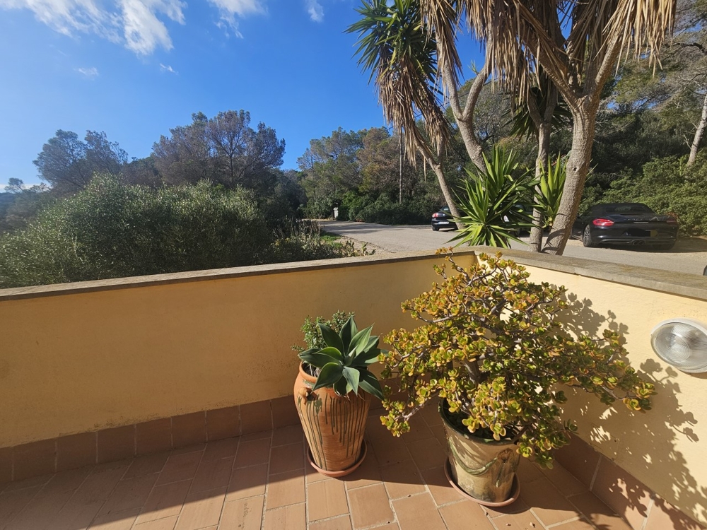 Mallorca Wohnung Kauf