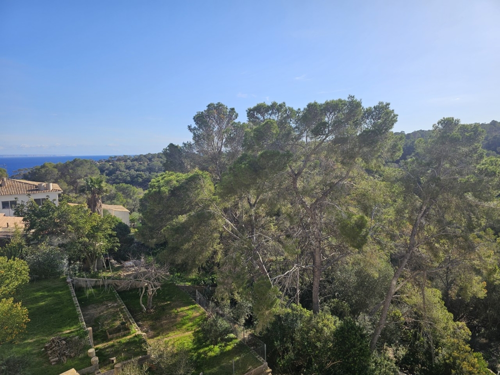 kaufen Mallorca kaufen Mallorca