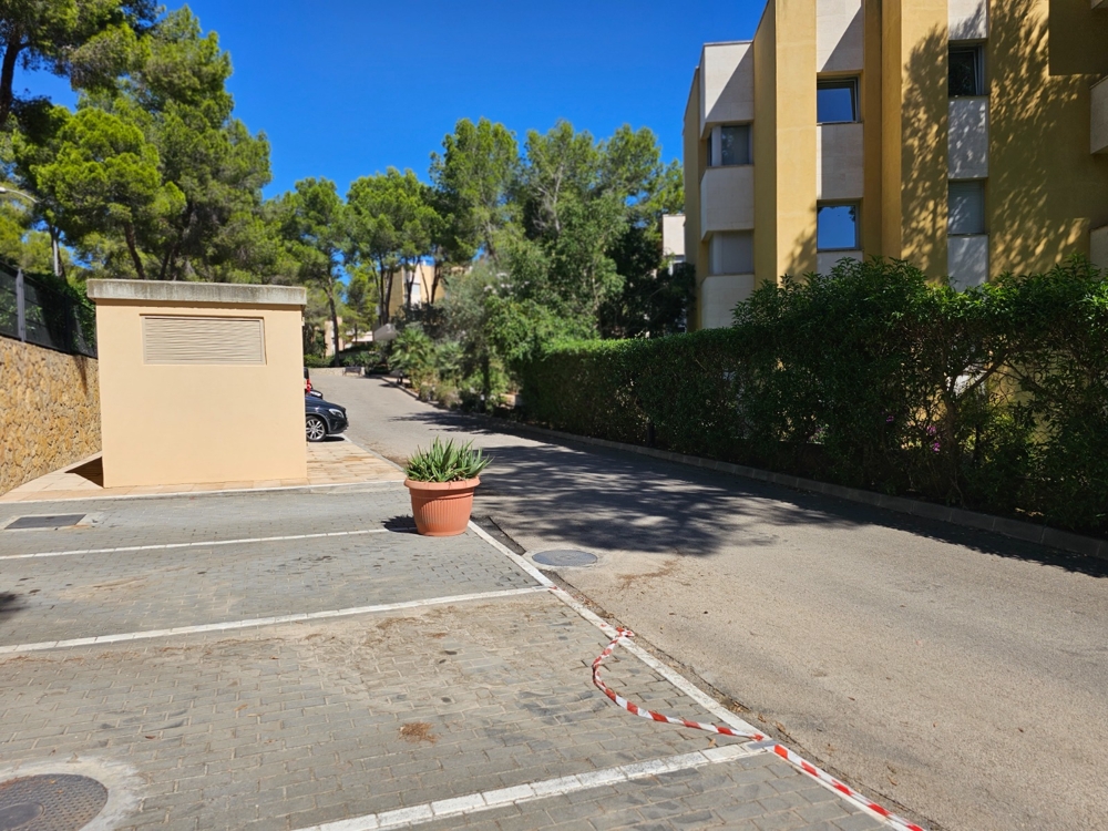 Mallorca Immobilien Mallorca Immobilien