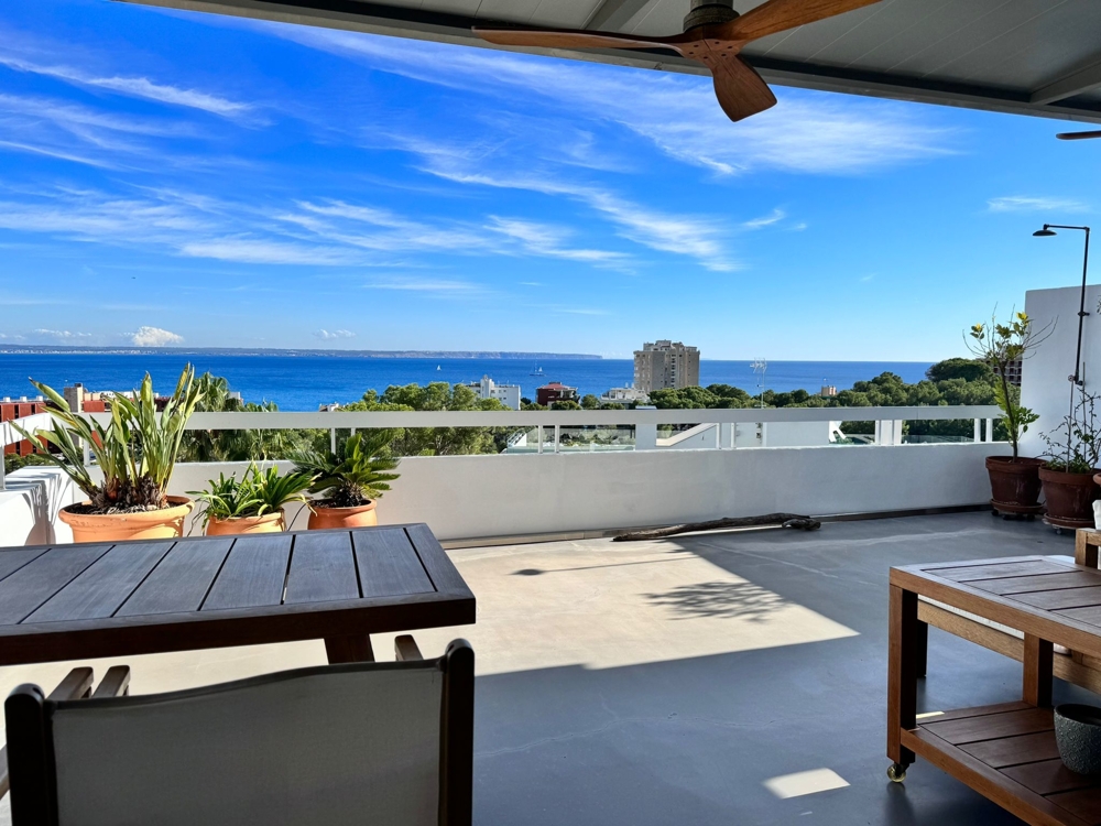 Mallorca Wohnung Mallorca Wohnung