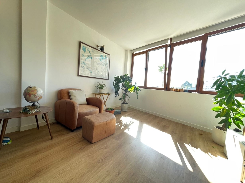 For sale Palma For sale Palma