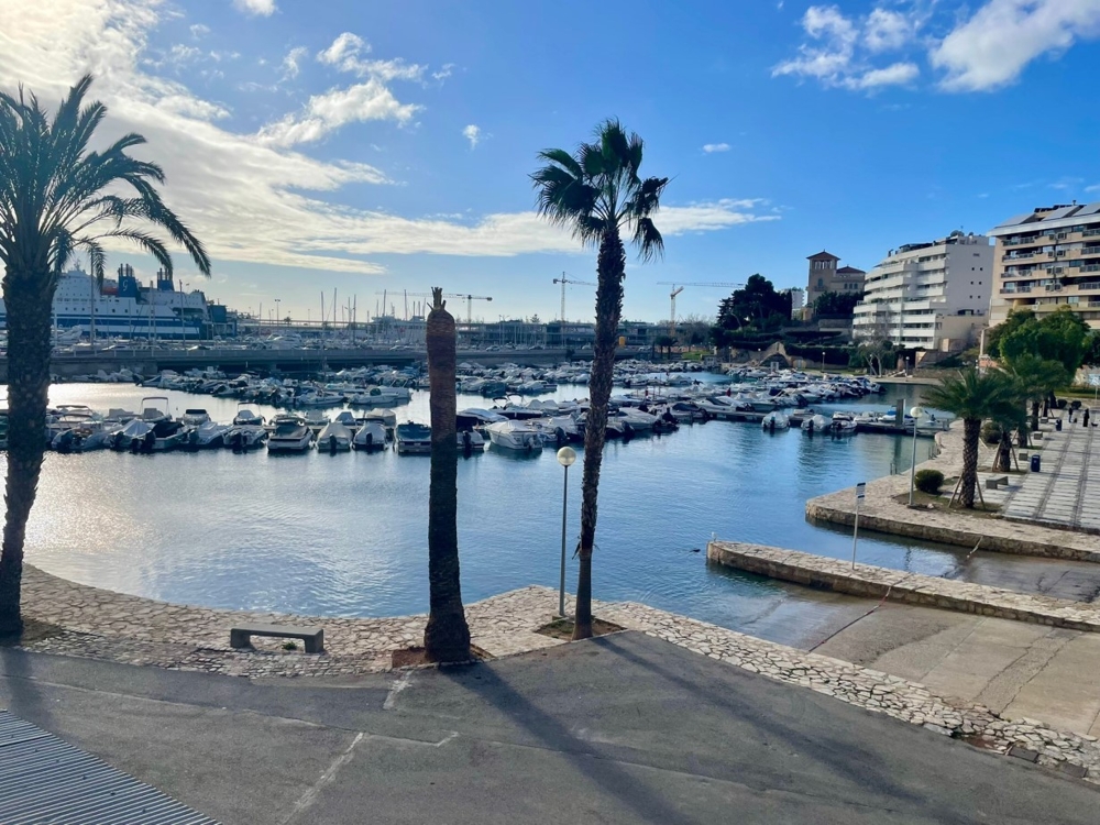 kaufen Palma Hafen kaufen Palma Hafen
