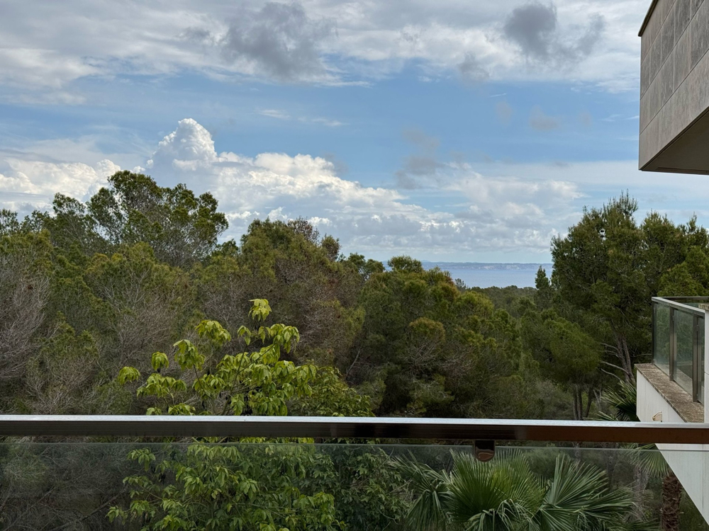 for sale penthouse for sale penthouse