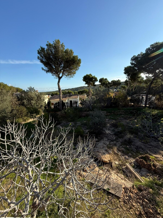 Baugrundstück Mallorca