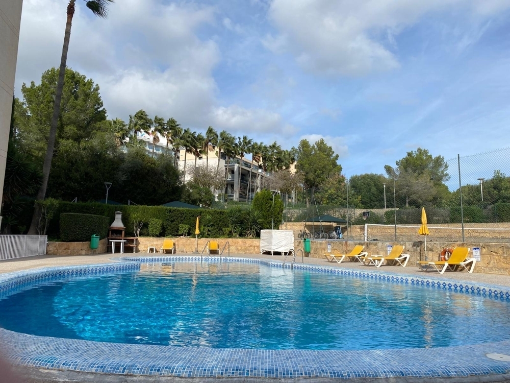 wohnung kaufen Portals 