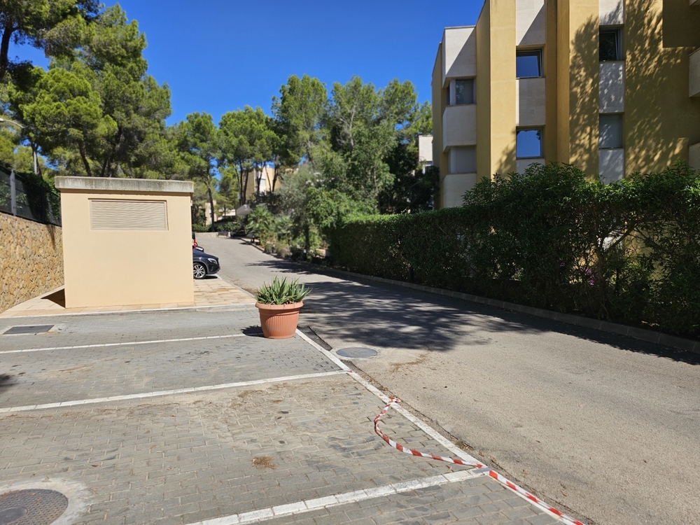 Mallorca Penthaus kaufen