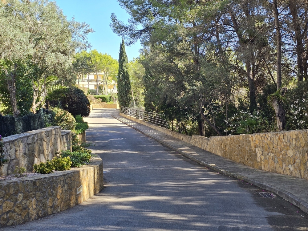 penthaus kaufen Mallorca