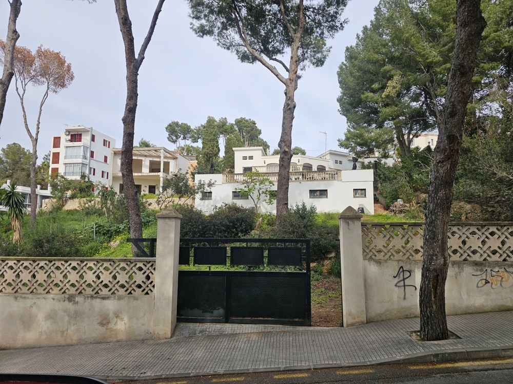 Investment kaufen Mallorca