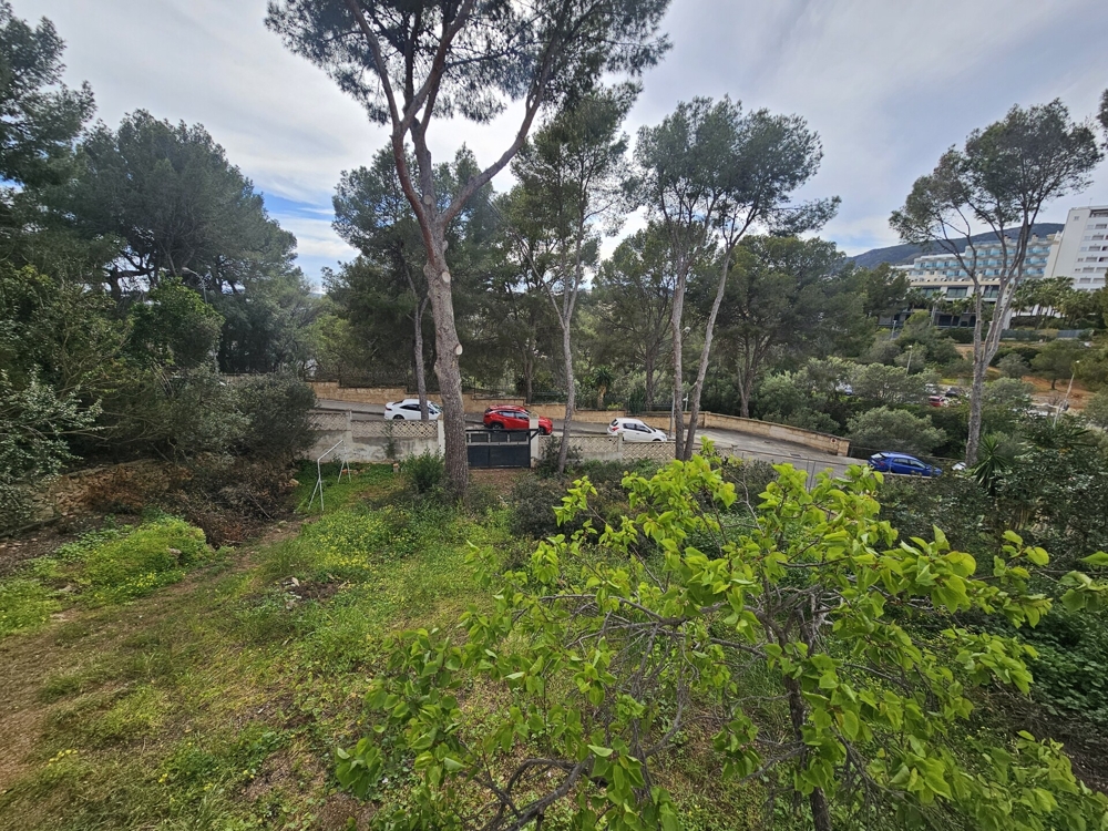 Villa Meerblick kaufen