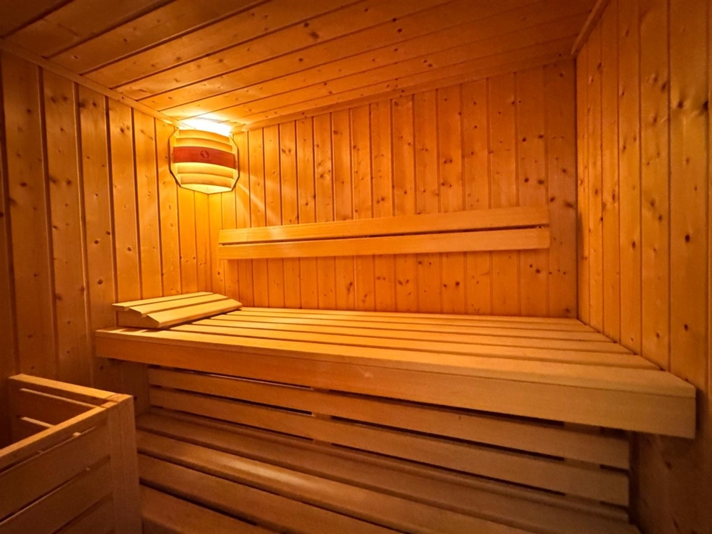 Saune
