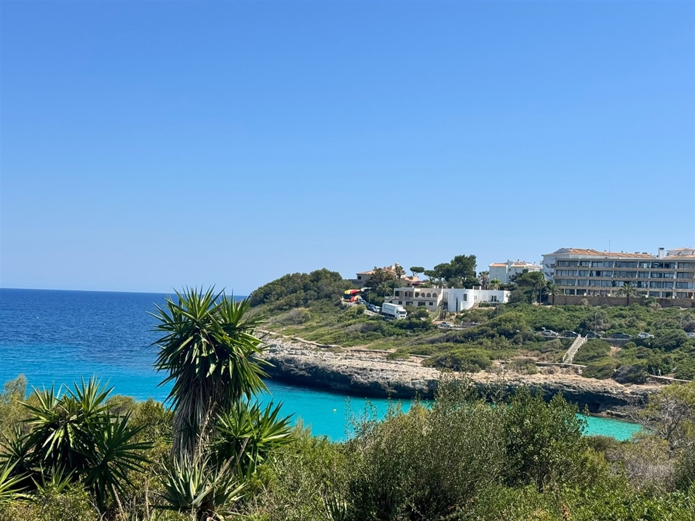 Cala Anguila