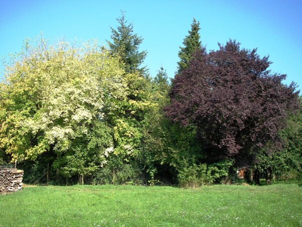 Garten von außen