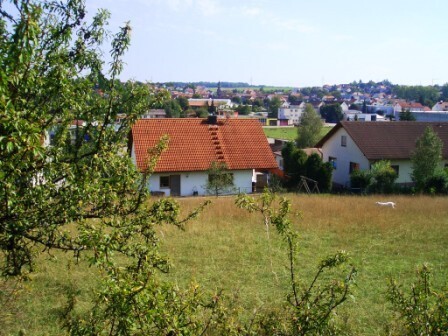 CIMG1581