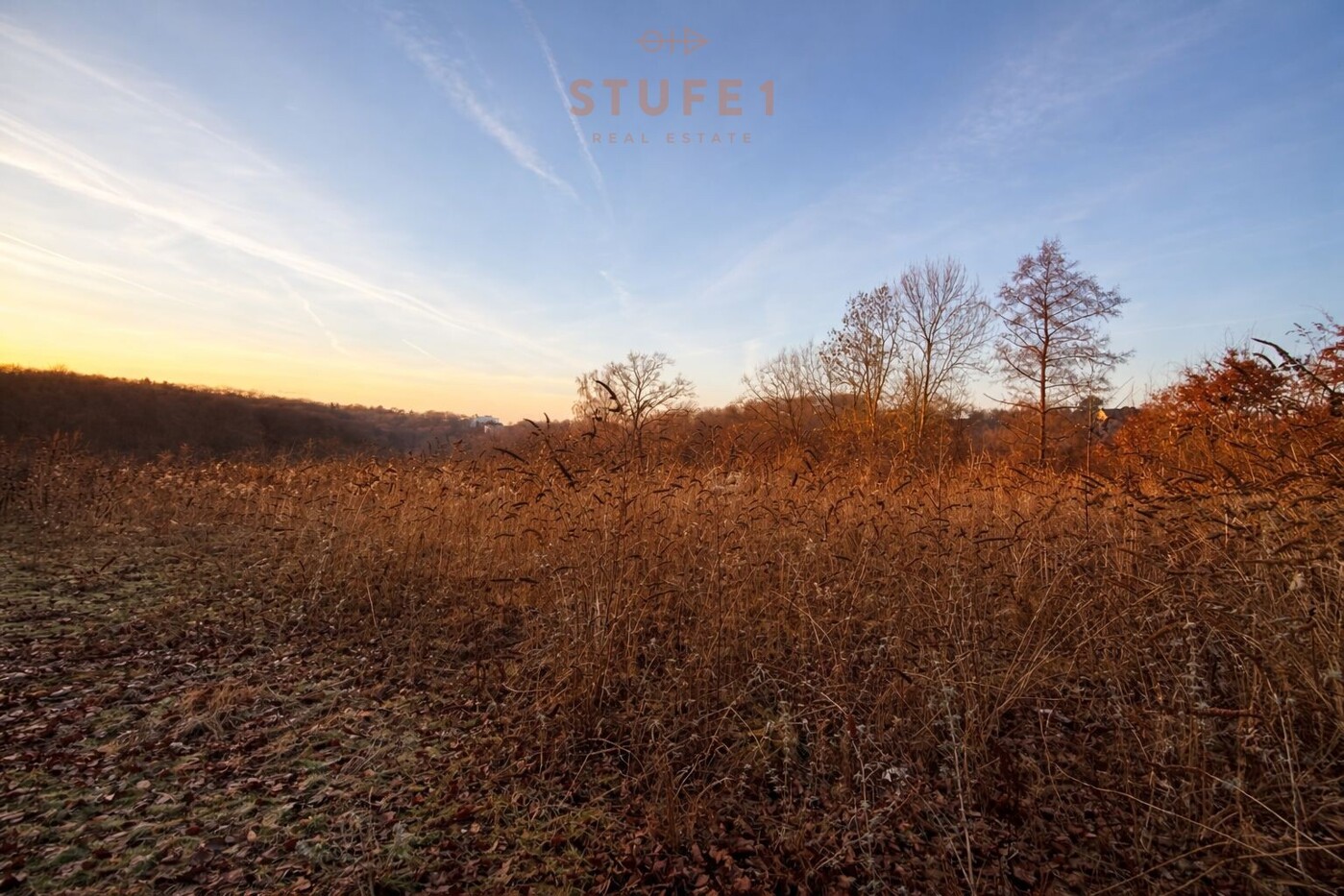 PHOTO-2026-01-22-10-59-09