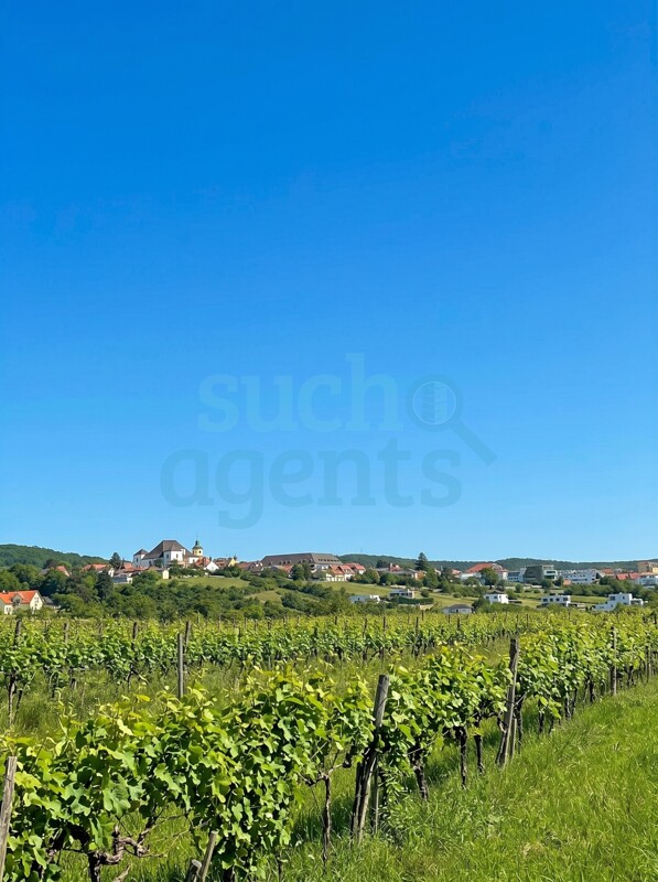 bild1