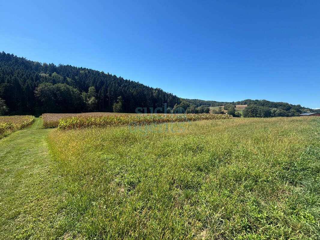 1.000 m² Baugrund + bis zu 2.000 m² Grünfläche – Unverbaubarer Grünblick in idyllischer Ruhelage