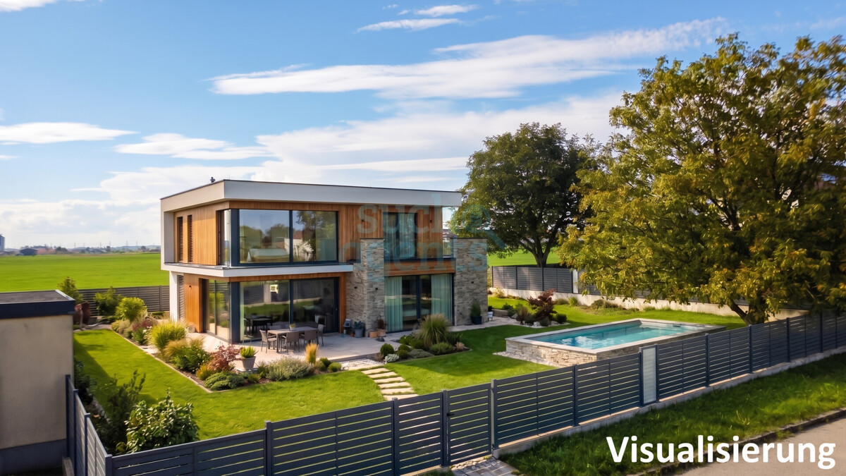 Visualisierung 1