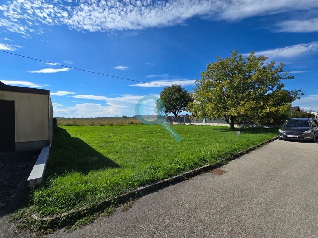 Neuer Preis! Baugrund in Pasching - Top bebaubar, voll erschlossen & ohne Bauzwang | Sonnige Lage