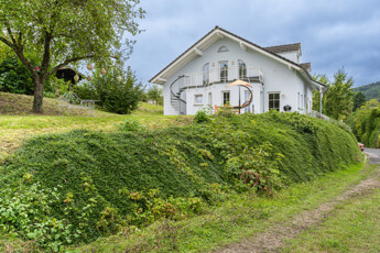20240906-IF-nh-6