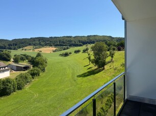 Blick ins Grüne