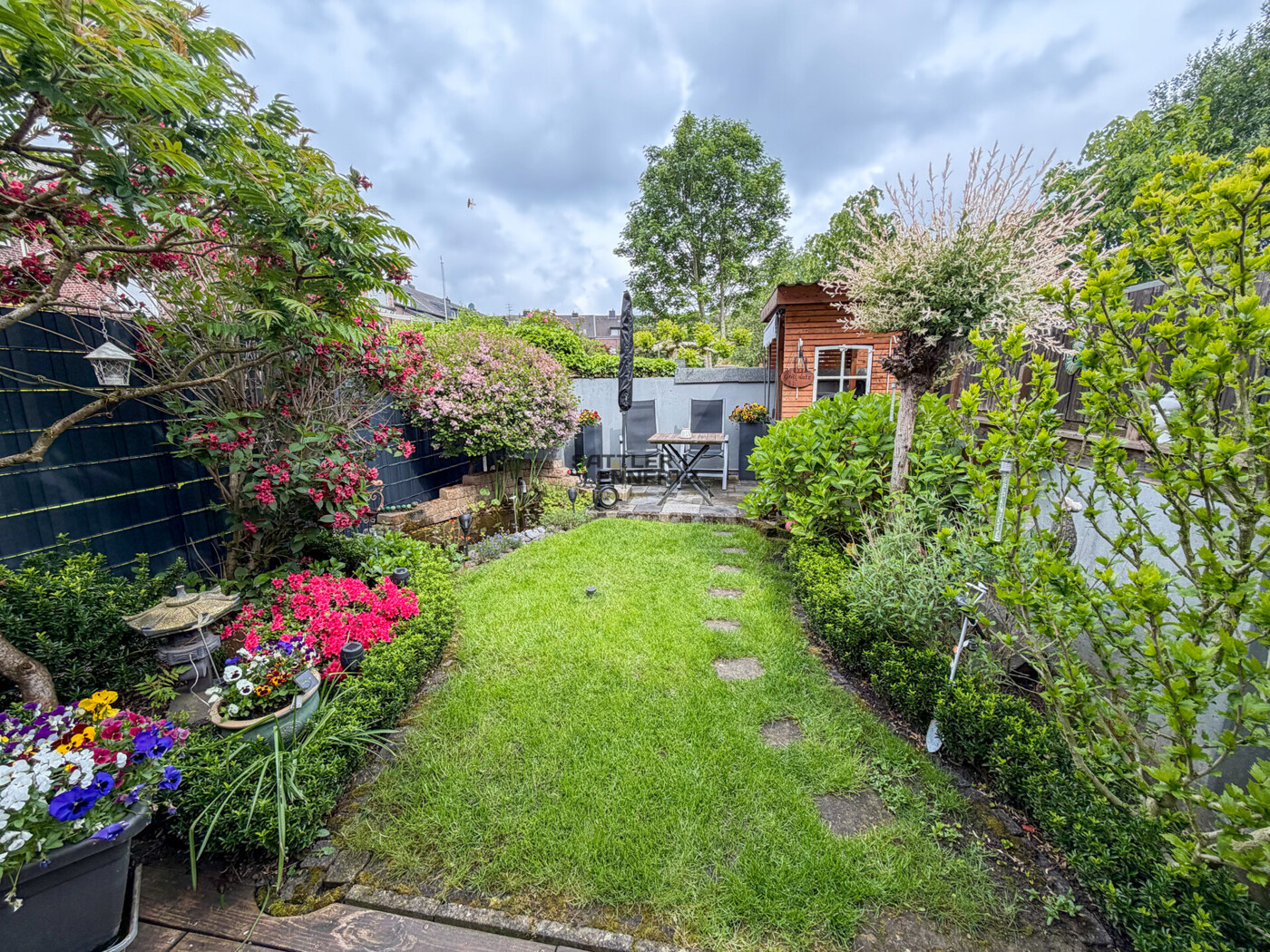 Blick in den Garten 