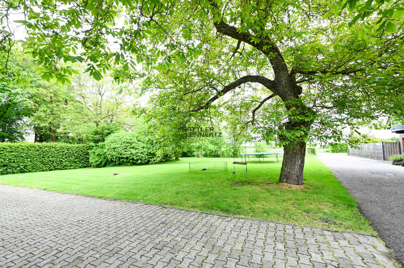 Blick in den Garten