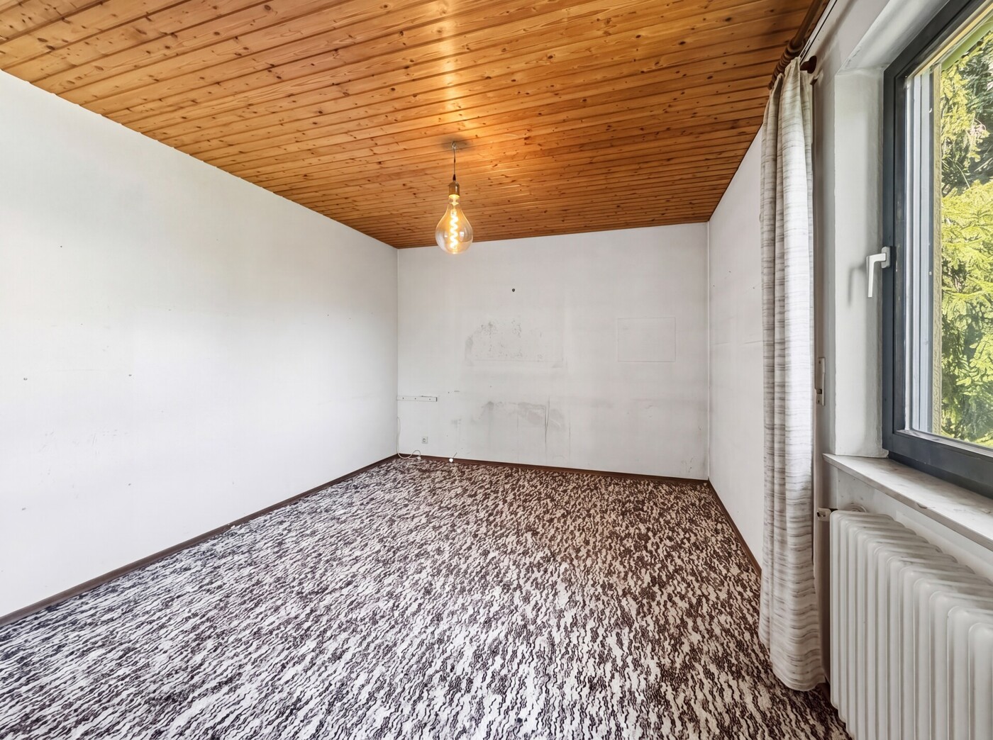 Zimmer EG 1