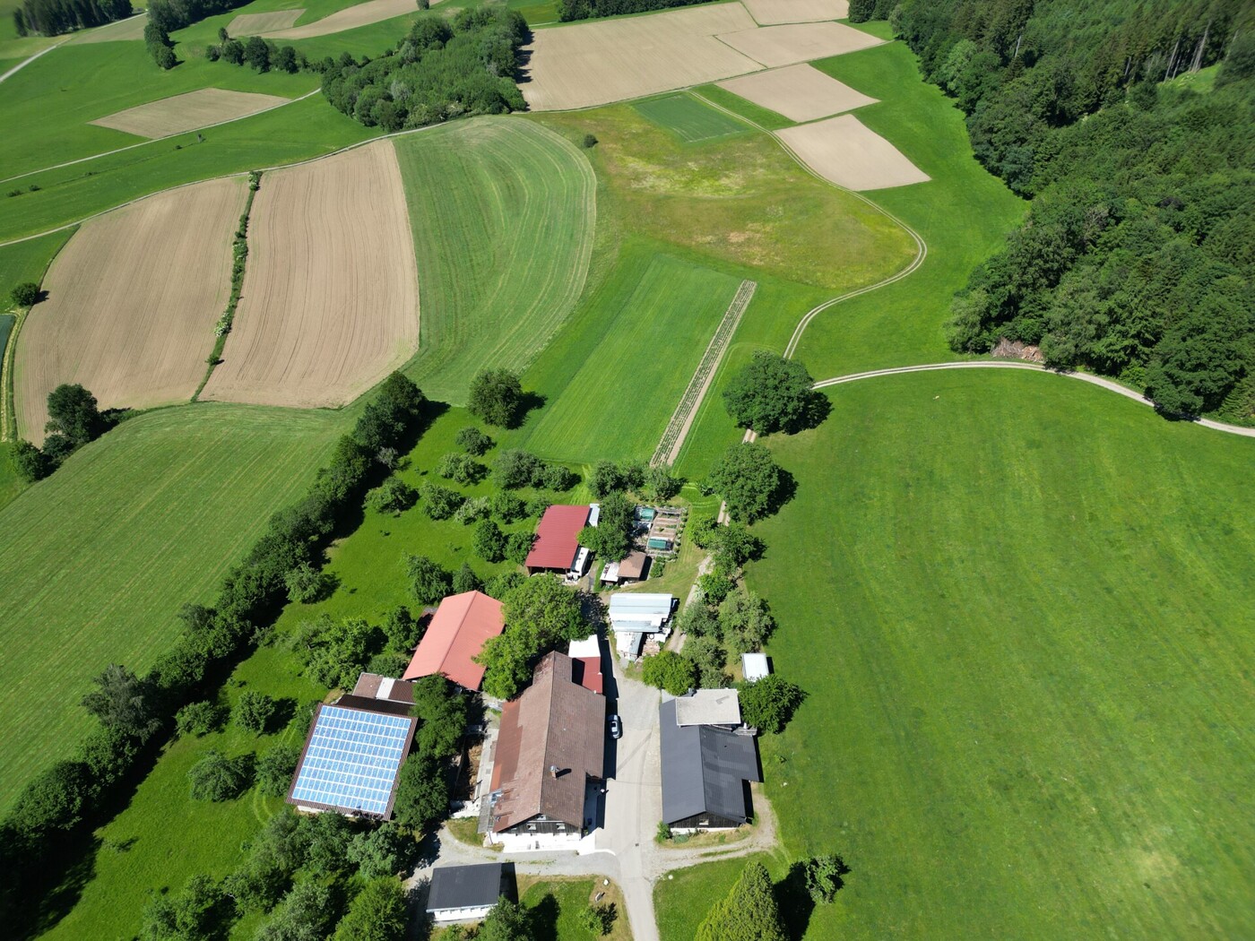 Luftaufnahme Anwesen