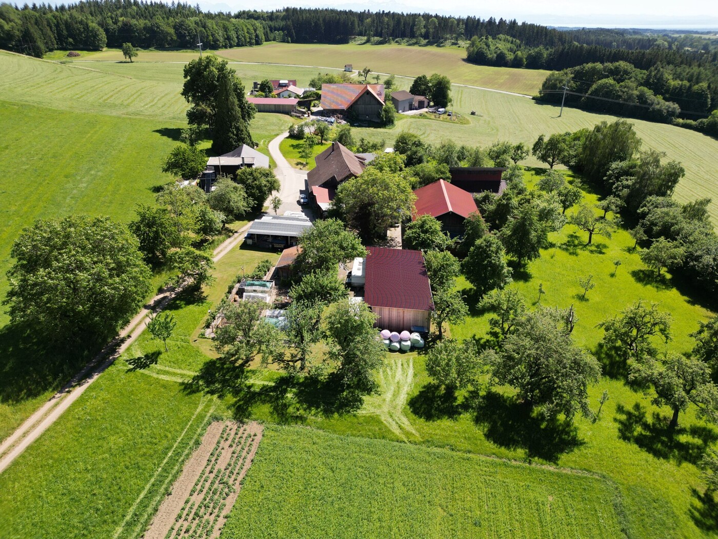 Luftaufnahme Anwesen