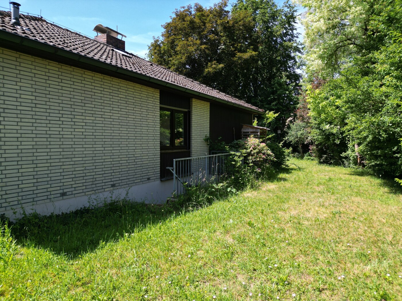 Garten Hinten