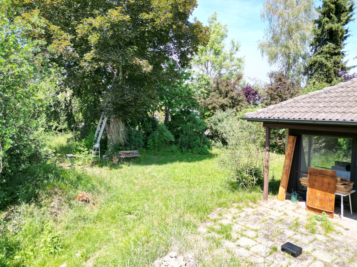 Garten mit Wildwuchs