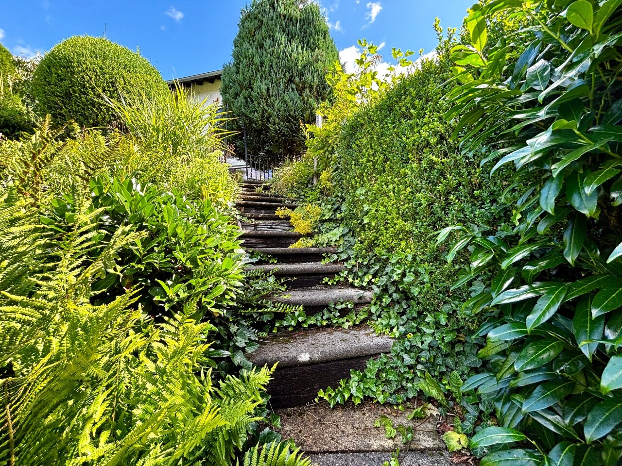 Treppe unteres Grundstück
