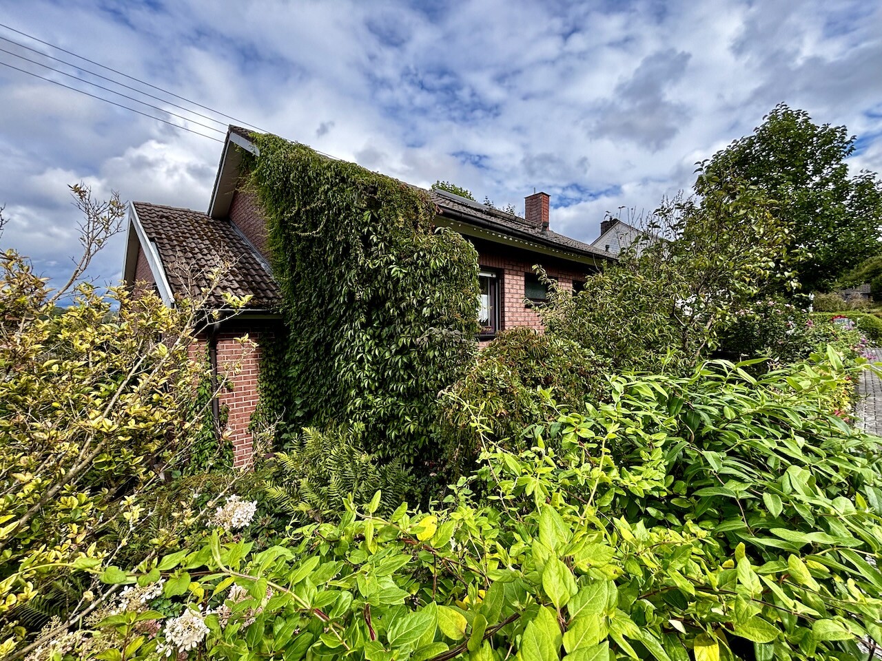 Seitliche Frontansicht