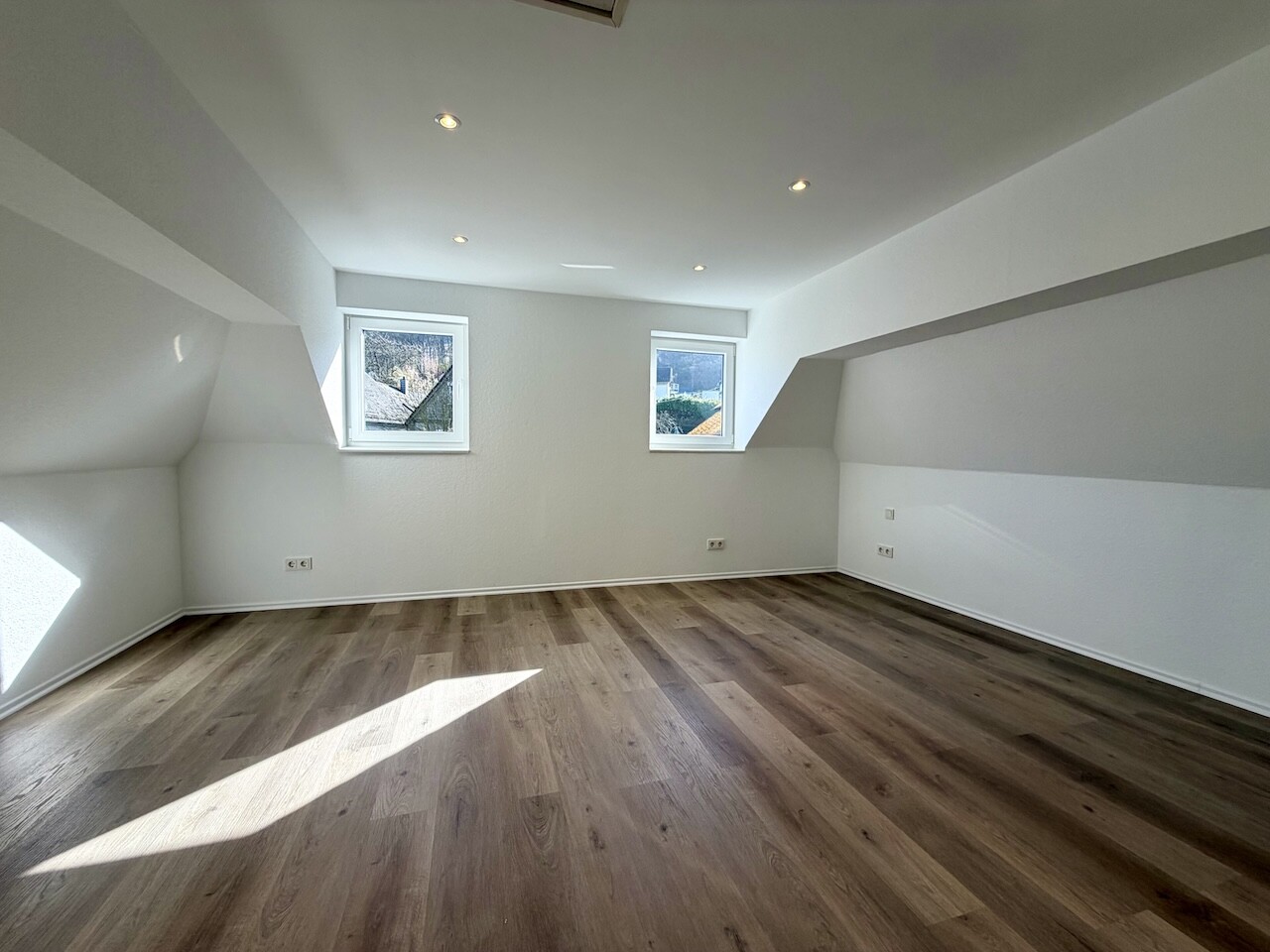 Zimmer DG