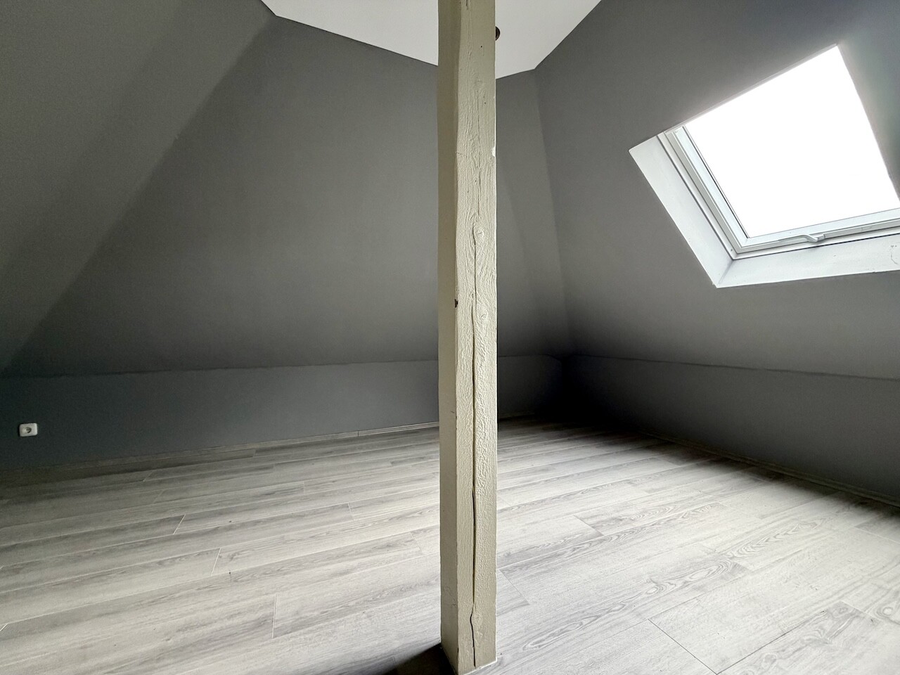 Zimmer DG