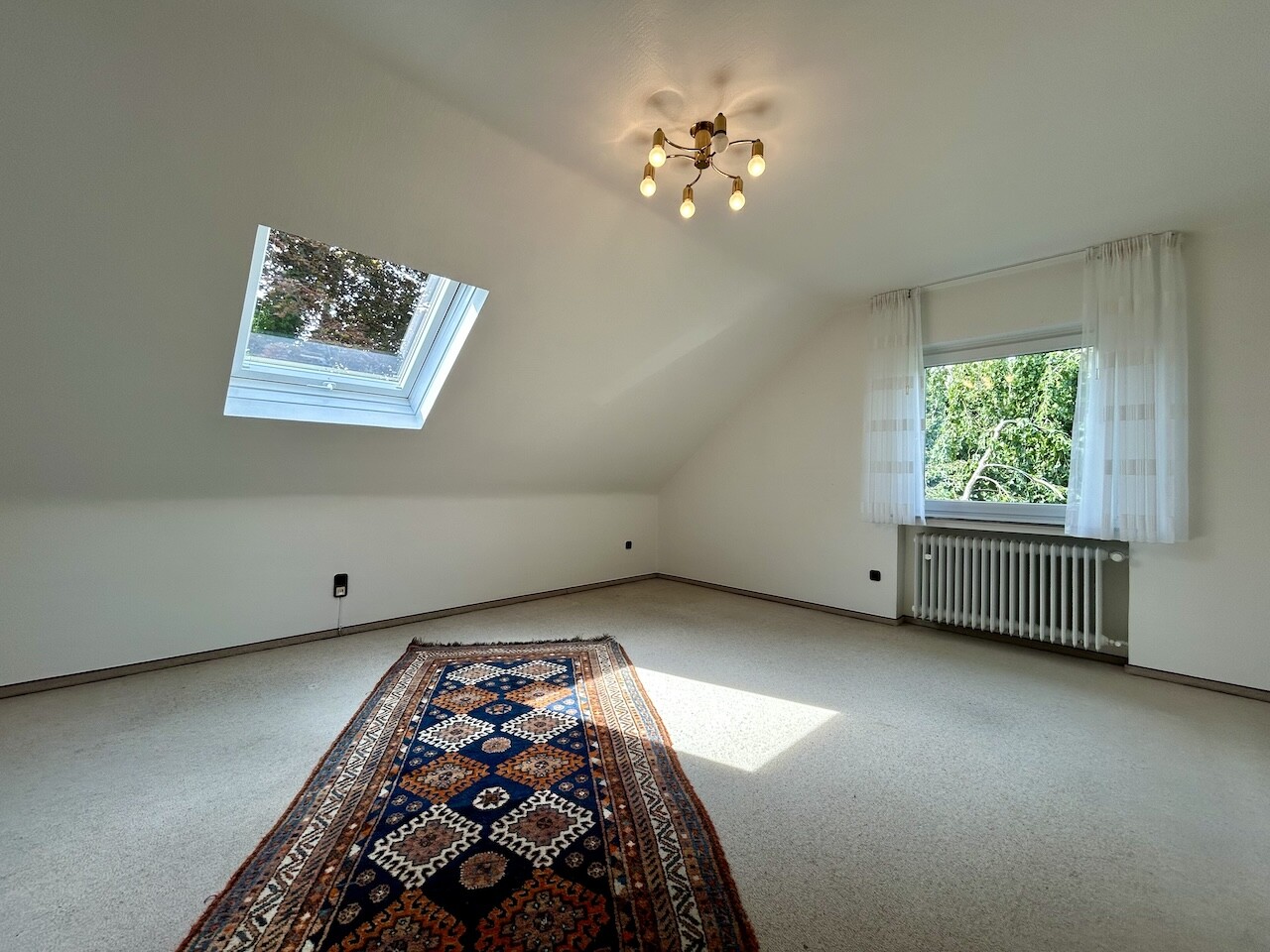 Zimmer DG