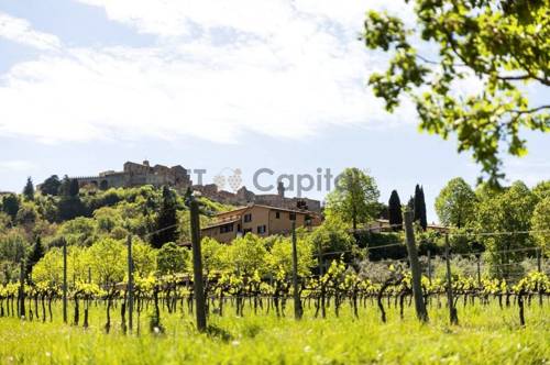 Bio-Zertifiziertes Weingut im Herzen von der Toskana - Montepulciano