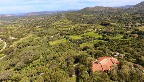 Prächtiges Anwesen mit Olivenhain und zwei kleinen Seen in Palau und unweit von Porto Rafael - Sardinien