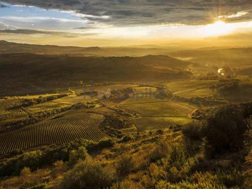 5-Sterne-Resort in einem historischen Schloss in Montalcino - Toskana