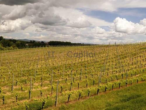 "Azienda Agricola" im Herzen der Toskana in Montepulciano - Italien