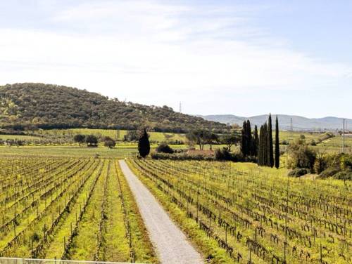 Prächtiges Weingut in der Val di Cornia Maremma - Toskana