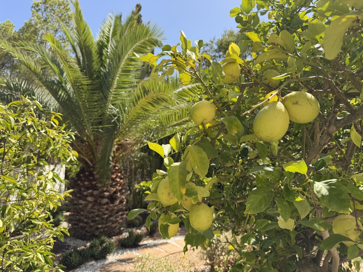 Traumvilla in bester Lage von Santa Ponsa