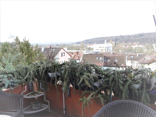Balkon/Aussicht