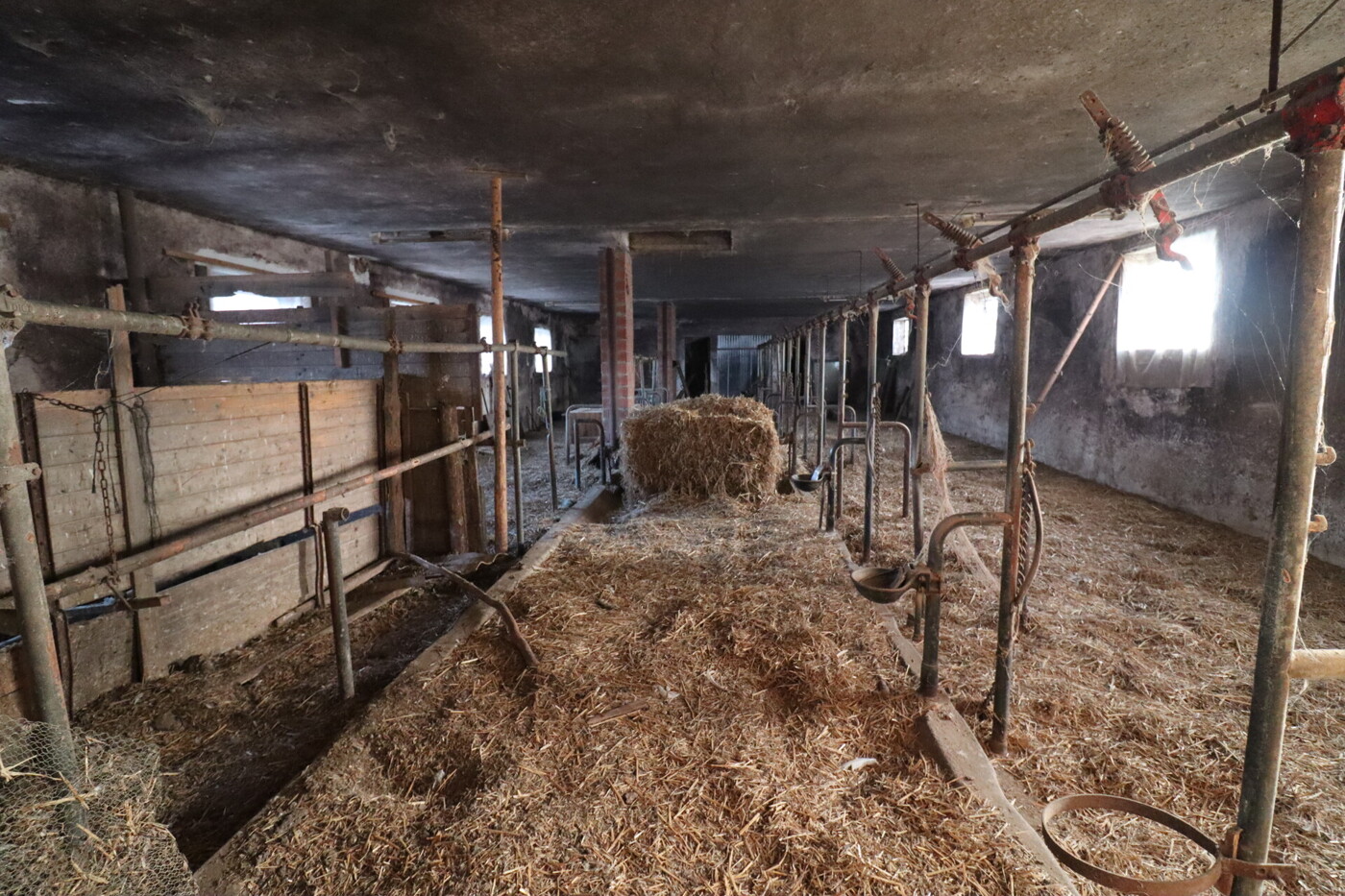 Stall - ideal für Tiere und Hobby