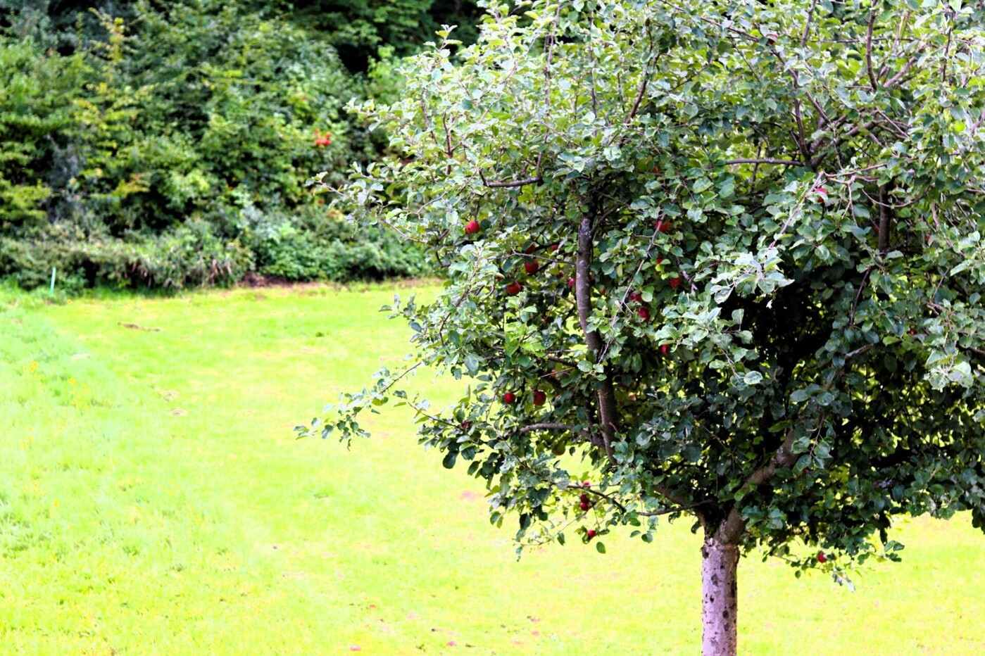 Traumhafter Blick aus dem Fenster