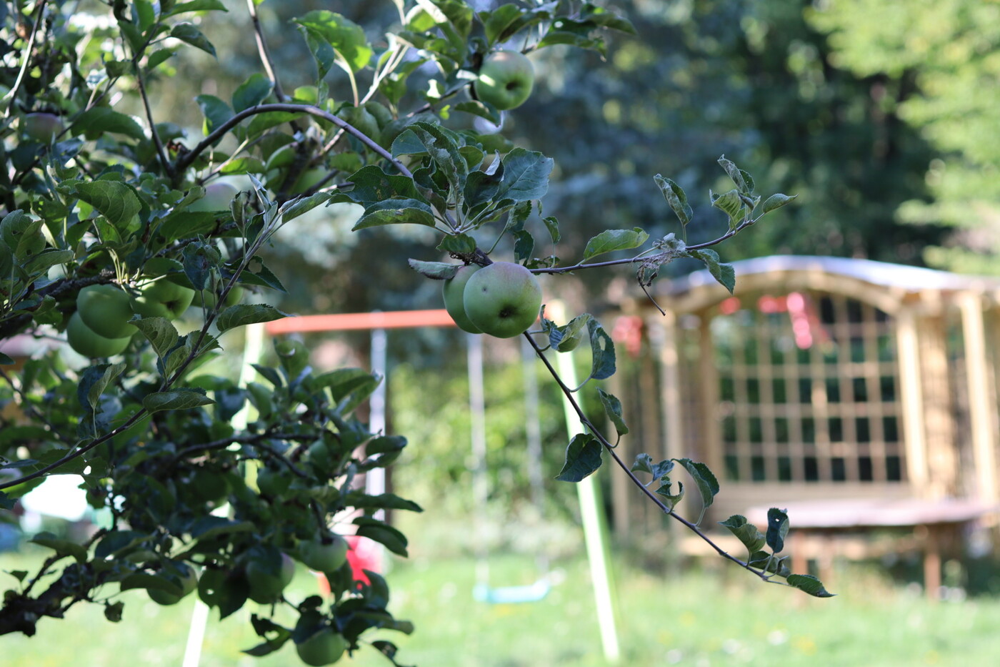 Im Schatten der Obstbäume entspannen, während die Kinder schaukeln