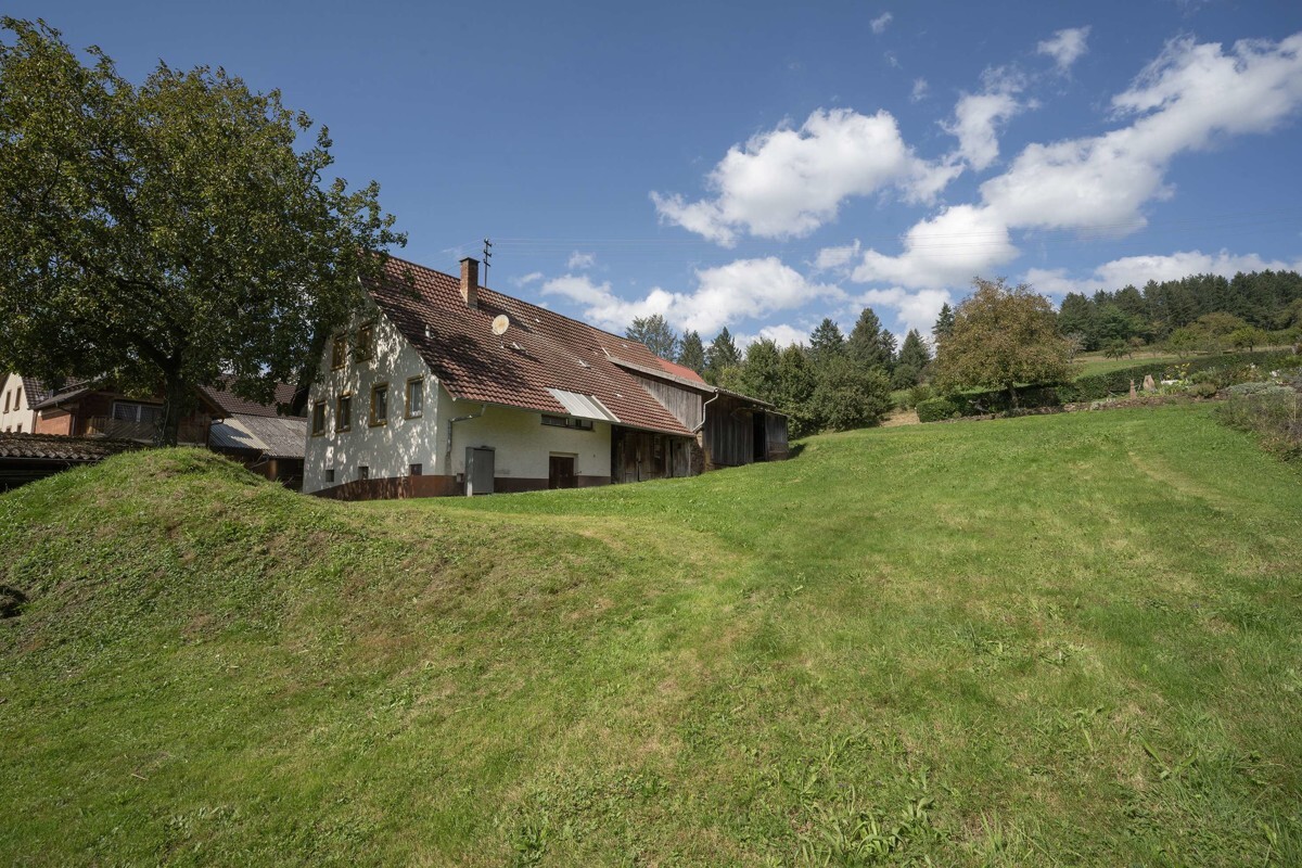 _DSC4267 Kopie