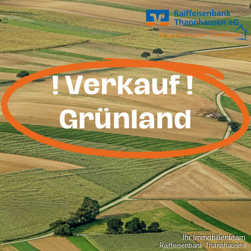 !Verkauf! Grünland