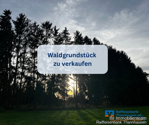 Waldgrundstück zu vekaufen